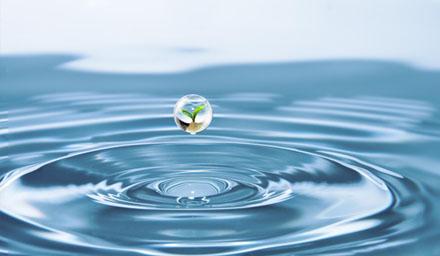 喜報 | 海星股份成功獲評“江蘇省節(jié)水型企業(yè)”！