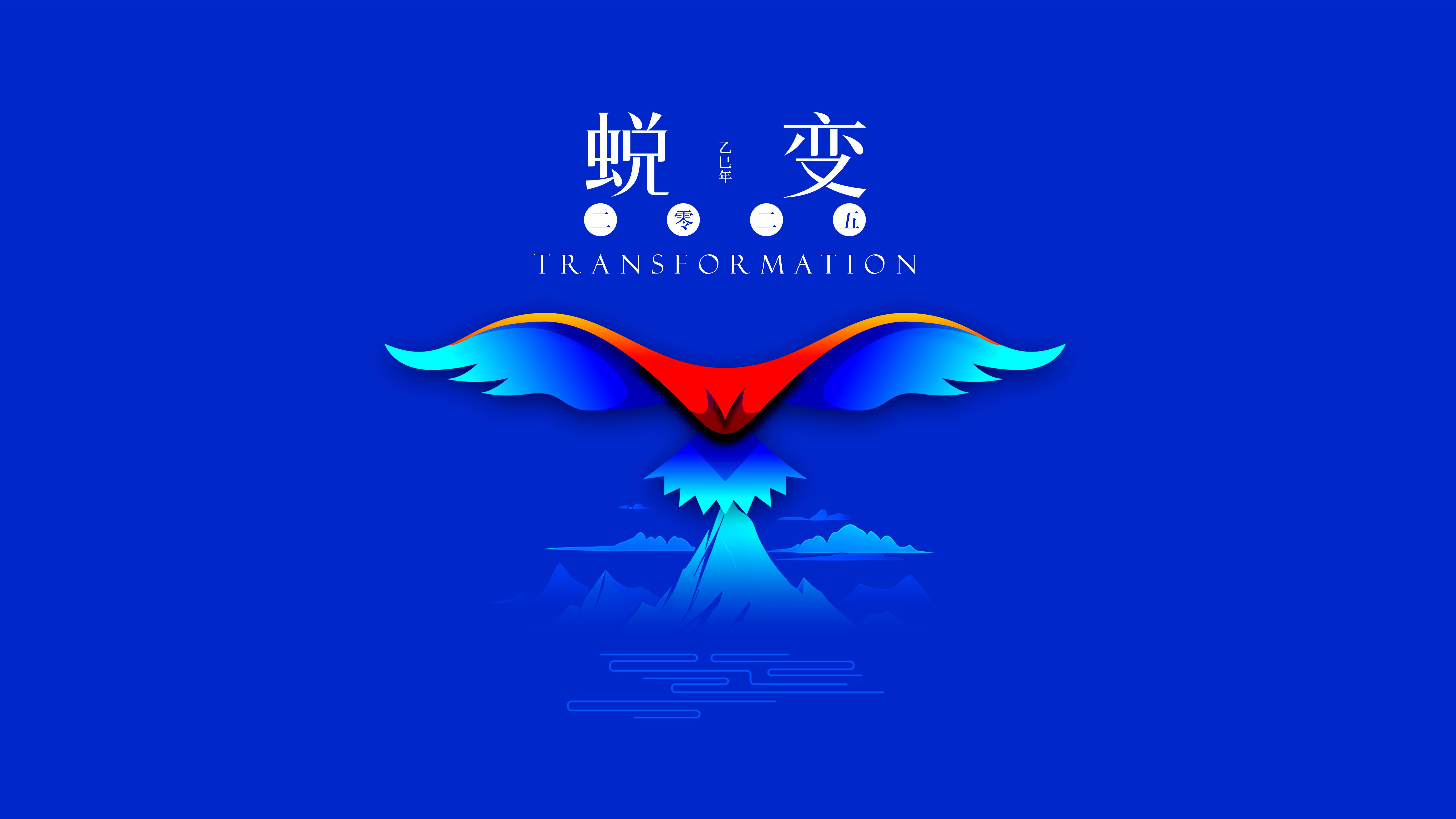 我與海星的2024，期待2025年與您一起續(xù)寫美好篇章